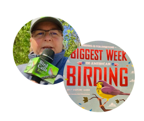 BCR - Biggest Week Moments