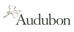 Audubon Logo