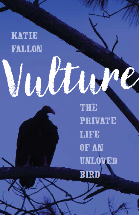 Fallon_Vulture_Front