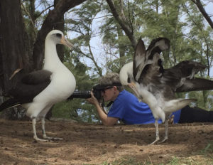 Hob Osterlund is the founder of Kauai Albatross Network and author Holy Moli, Albatross and Other Ancestors. Photo taken by the ©Jeanine Meyers All Rights Reserved. Photo may not be used without written permission. Please respect the wishes of the Photographer.