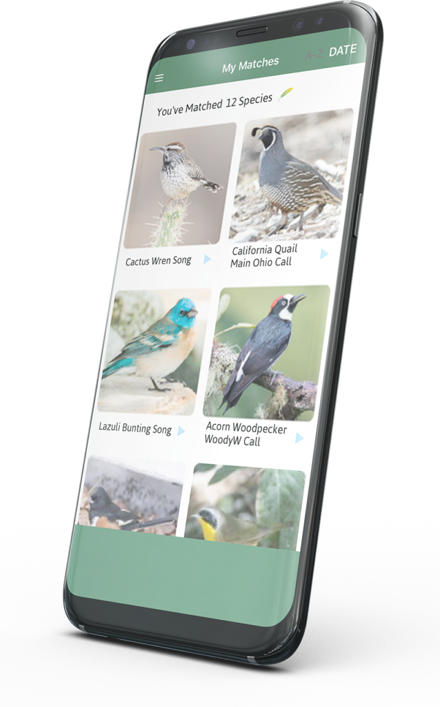 BCR 168 BirdGenie App BirdCallsRadio™ Exploring birdlife around