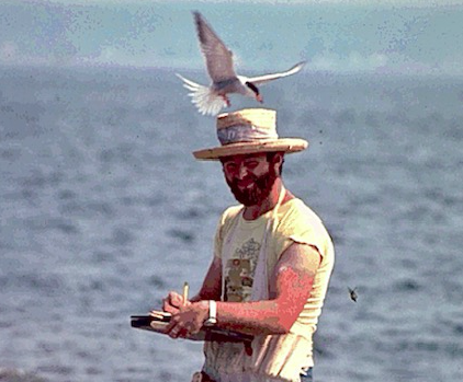 Jeff Spendelow, PhD life long study of the Roseate Tern.