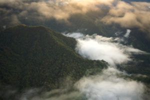 Rain forest covered mountains of the Sarawaget range, Huon Peninsula, Papua New Guinea. This is the region of the YUS Conservation Area. Photograph ©Tim Laman