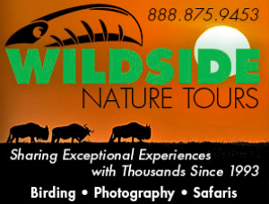 Wildside BCR logo 2021 300x228